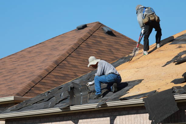 Best Gutter Replacement  in Camn, DE