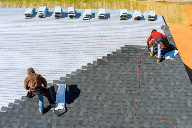 Best Solar Panel Roofing Installation  in Camn, DE