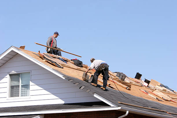 Best Roof Leak Repair  in Camn, DE